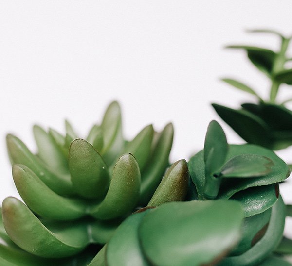 shop-2-img-gallery-1