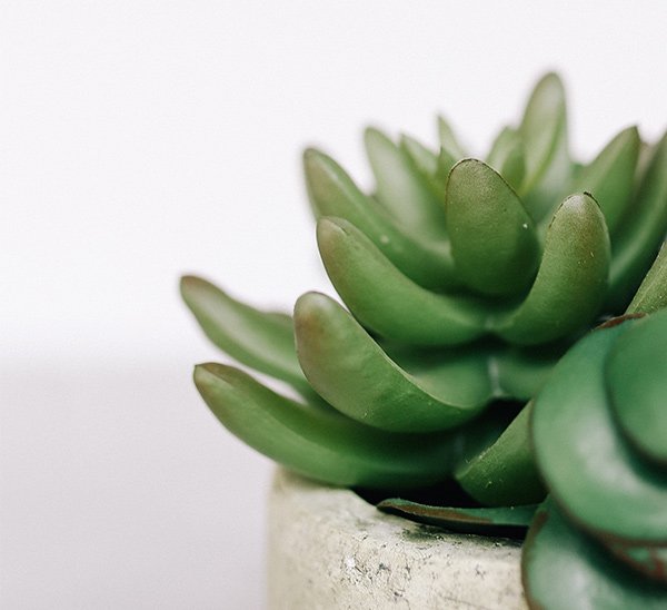 shop-2-img-gallery-3